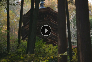 CM安楽寺八角三重塔篇