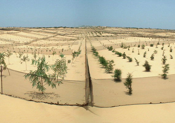 senegal.jpg