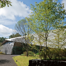 Stone Roof