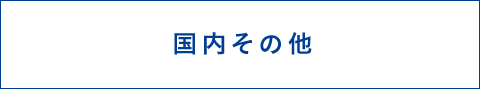 国内その他